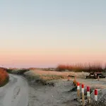 North Frisian On Foehr Island Midlum (Schleswig-Holstein)