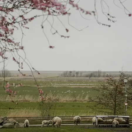 Casa de Férias North Frisian Apartment On Foehr Island Midlum (Schleswig-Holstein)