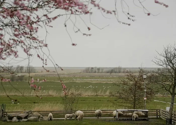 Casa de Férias North Frisian Apartment On Foehr Island Midlum (Schleswig-Holstein)